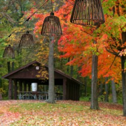 Guirlande guinguette 5 mètres "Conex" + 8 abat-jours "Patio" + 8 ampoules LED