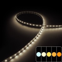 Ruban LED haute fidélité - 4,8W/m - IP65 - Blanc - 60 LED/m - 2835+ - 5m - 24V
