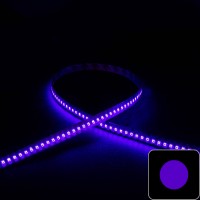 Ruban LED UV 14,4W/m - 180 LED/m - IP20 - 2835+ - 5m -24V