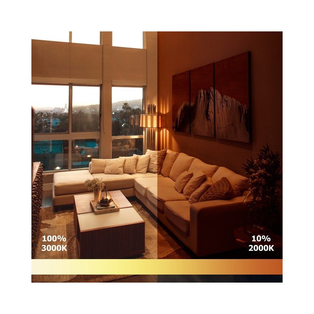 Ruban IP20 2028 - Dim to Warm - 15W/m - 168 LED/m - 5m