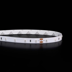 Ruban LED Rouge - 4,8W/m - IP20 - 60 LED/m - 2835+ - 5m - 24V