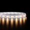 Ruban IP65 2835+ - Blanc Pur + Chaud - 14,4W/m - 120 LED/m - 5m