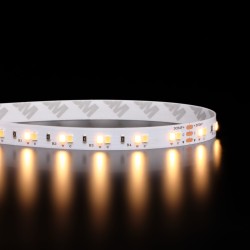 Ruban LED blanc chaud + froid (CCT) - 14,4W/m + 14,4W/m - IP65 - 120 LED/m - 2835+ - 5m - 24V