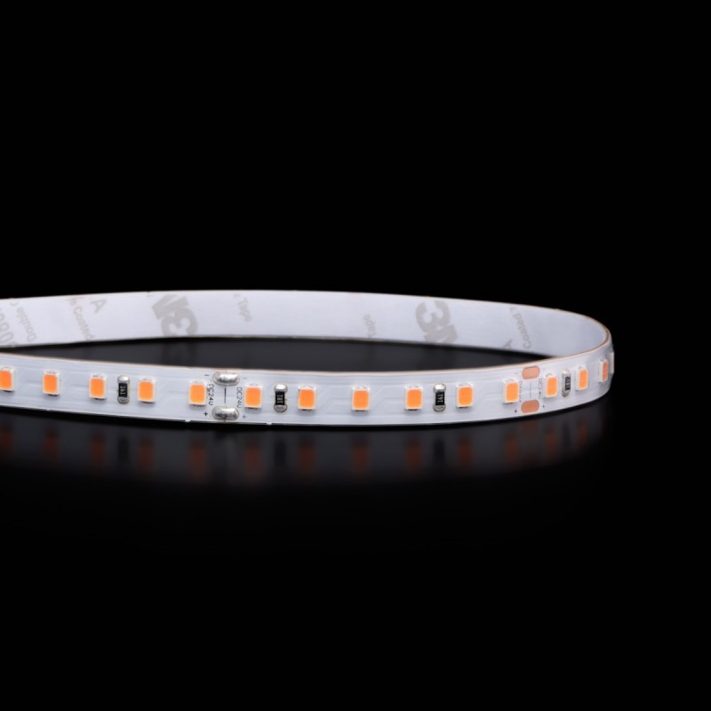 Bandeau LED économique adapté pour les magasins et rayons de type boucheries et charcuteries