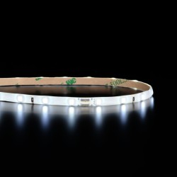 Mini ruban LED 5mm de large - 4,8W/m - IP65 - Blanc - 60 LED/m - 3528E - 5m - 24V