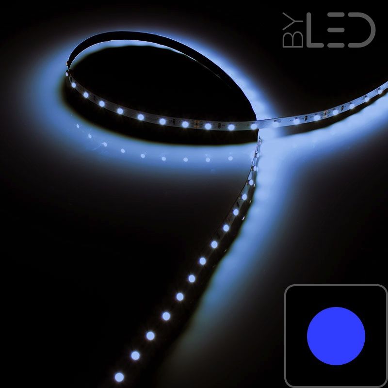 Ruban LED Puissant 60LED/m 5m 13W/m - Lumière Bleu