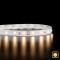 Ruban LED haute fidélité - 14,4W/m - IP20 - Blanc chaud - 60 LED/m - 2835P - 5m - 24V
