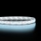Ruban LED Haute densité (120 lm/w) - 13W/m - IP65 - Blanc - 420 LED/m - 2216+ - 5m -24V