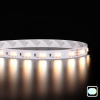 Ruban LED blanc chaud + froid (CCT) - 14,4W/m - IP65 - 120 LED/m - 2835+ - à la coupe - 24V