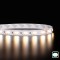 Ruban IP65 2835+ - Blanc Pur + Chaud - 14,4W/m - 120 LED/m - 5m