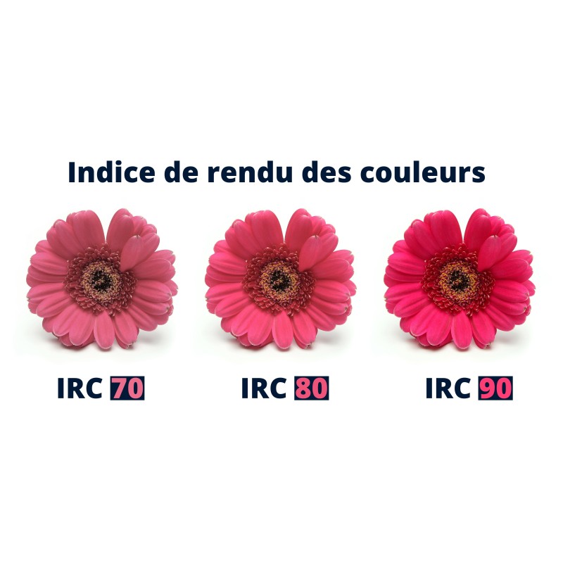 Ruban LED Haute densité (120 lm/w) - 13W/m - IP68 - Blanc - 420 LED/m - 2216+ - à la coupe - 24V