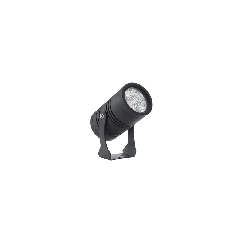 Spot LED à piquer 15 W - COB - 230V - Spike 15 - Blanc(s)