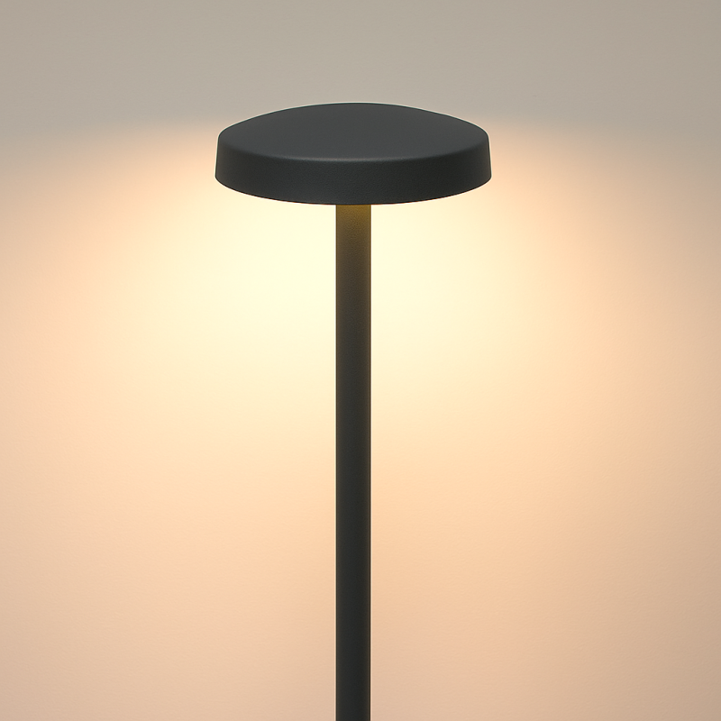Borne LED extra fine d'extérieur à tête bombée - 3W - 40 cm - Anthracite - HAALÖ