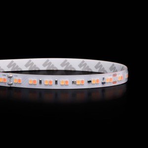 Ruban LED Blanc chaud + Ambré - 15W/m - IP20 - Dim to Warm - 168 LED/m - 2028 - 5m - 24V