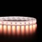 Ruban IP20 2028 - Dim to Warm - 15W/m - 168 LED/m - 5m