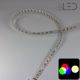 Strip IP20 - RGB & Blanc chaud - 19,2W/m