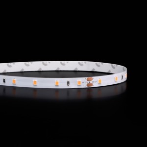 Ruban LED à la coupe - 4,8W/m - IP20 - Blanc chaud - 60 LED/m - 12V