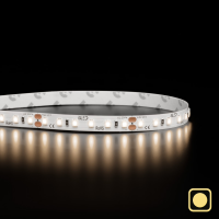 Ruban LED à la coupe - 9,6W/m - IP20 - Blanc chaud - 120 LED/m - 12V