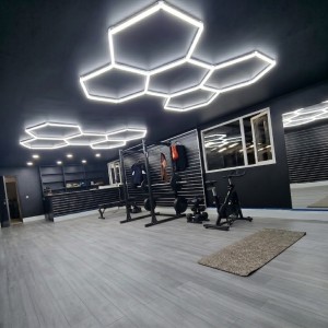 Plafonnier LED hexagonal nid d'abeille - 5 alvéoles - 180W - 112 lm/W - 230V - ORNET