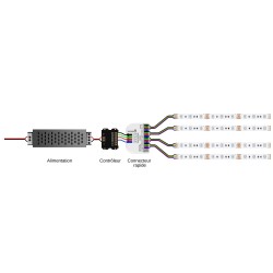 Connecteur rapide à levier pour installation RGB - 1 entrée / 4 sorties