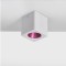 RV - Applique LED blanche 7W – 35° - couleurs au choix - SHINE