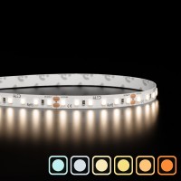 Ruban LED haute fidélité IP65 2835 - Blanc - 9,6W/m - 120 LED/m - 5m