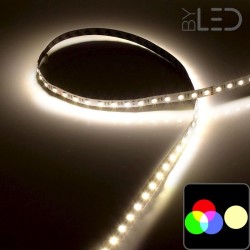 Ruban LED RGB + Blanc - 5 mètres - 19,2W/m - 24V - IP65 - 60 LED/m - IRC80 - Coupe 10cm - 5050