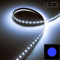 Ruban LED bleu - 14,4W/m - IP65 - 60 LED/m - 5050 - 5m - 24V