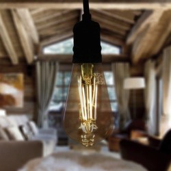 Ampoule LED à filament Edison - Ambrée – 6W - E27 - Dimmable - ST64
