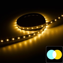 Ruban LED CCT blanc chaud + froid (CCT) - 14,4W/m + 14,4W/m - IP20 - 120 LED/m - 2835+ - 5m - 24V