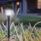 Borne led solaire sur piquet à planter jardin