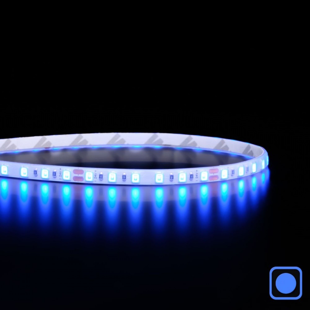 Mini ruban LED 5,5mm de large - 4,8W/m - IP65 - Bleu - 120 LED/m - 2835E - 5m - 24V
