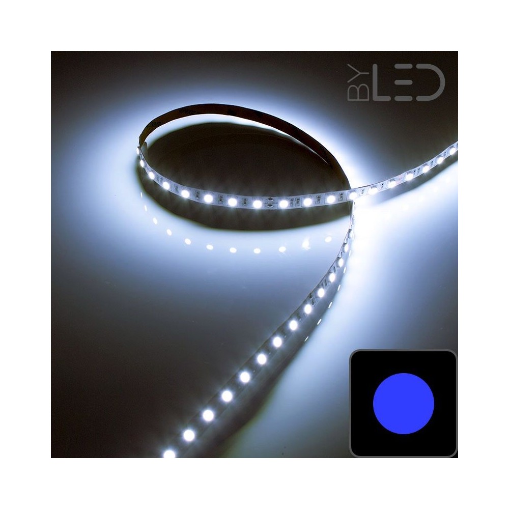 Ruban LED bleu - 14,4W/m - IP65 - 60 LED/m - 5050 - 5m - 24V