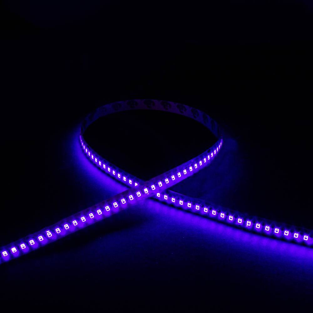 Ruban LED UV 14,4W/m - 180 LED/m - IP20 - 5m - 24V - lumière noire